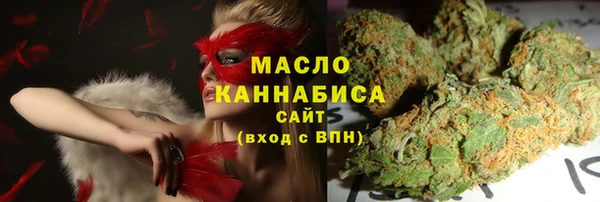spice Богородицк