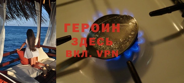 spice Богородицк