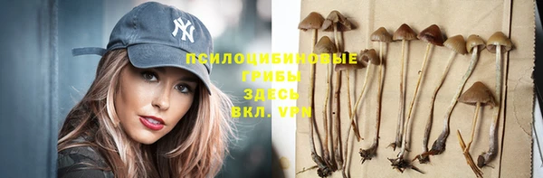 spice Богородицк