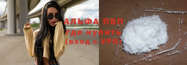 spice Богородицк