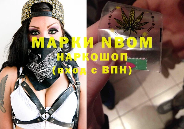 spice Богородицк