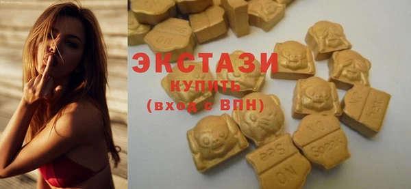 spice Богородицк