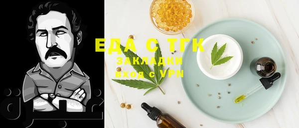 spice Богородицк
