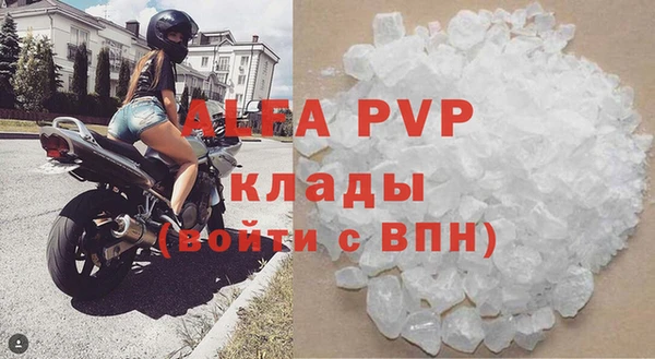 spice Богородицк