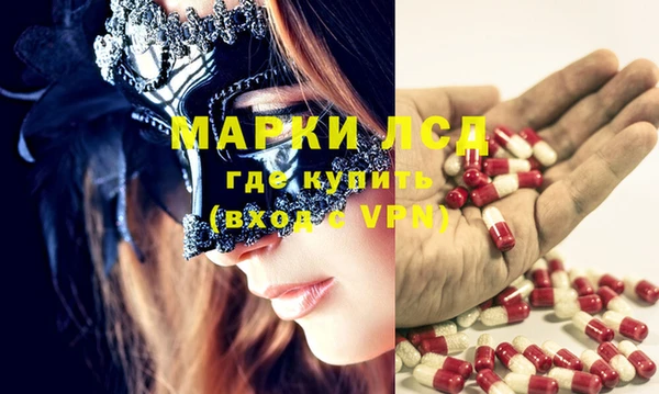 spice Богородицк