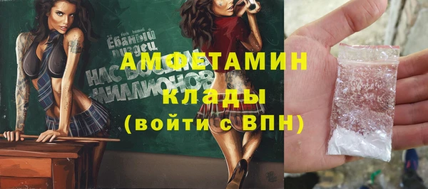 spice Богородицк