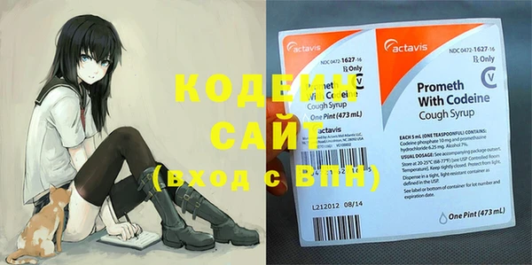 spice Богородицк