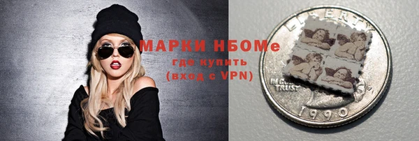 spice Богородицк
