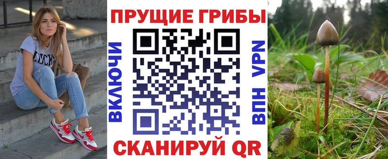 купить закладку  Северская  Псилоцибиновые грибы MAGIC MUSHROOMS 